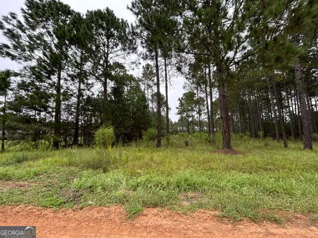 165 Creekside Way, Metter, GA 30439 - #3