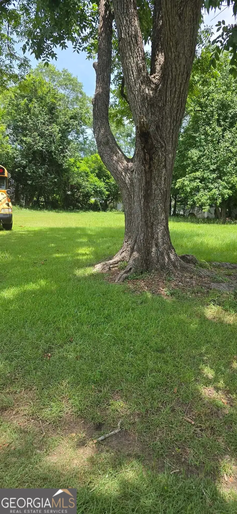 0 Pineknot, Ashburn, GA 31714 - #2