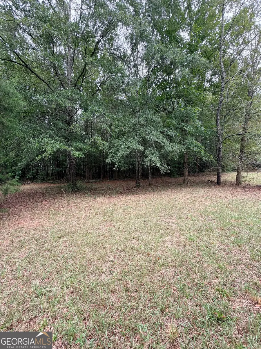 664 Unionville Road, Barnesville, GA 30204 - #3