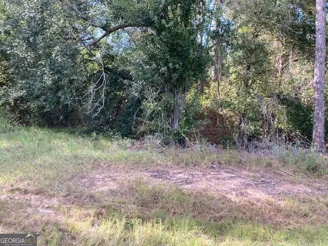 6965 Jim Pruett Road, Eastman, GA 31023 - #2