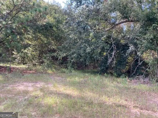6965 Jim Pruett Road, Eastman, GA 31023 - #3