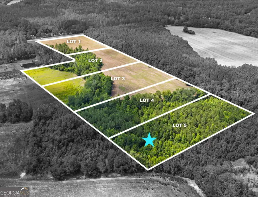 0 Fabled Lane #LOT 5, Pembroke, GA 31321 - #2
