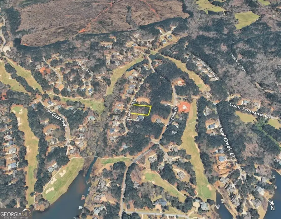 1040 Pinehurst Drive, Greensboro, GA 30642 - #2