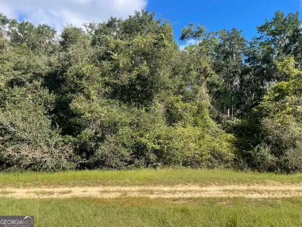 535 Maggies Lake Road Ne, Glennville, GA 30427