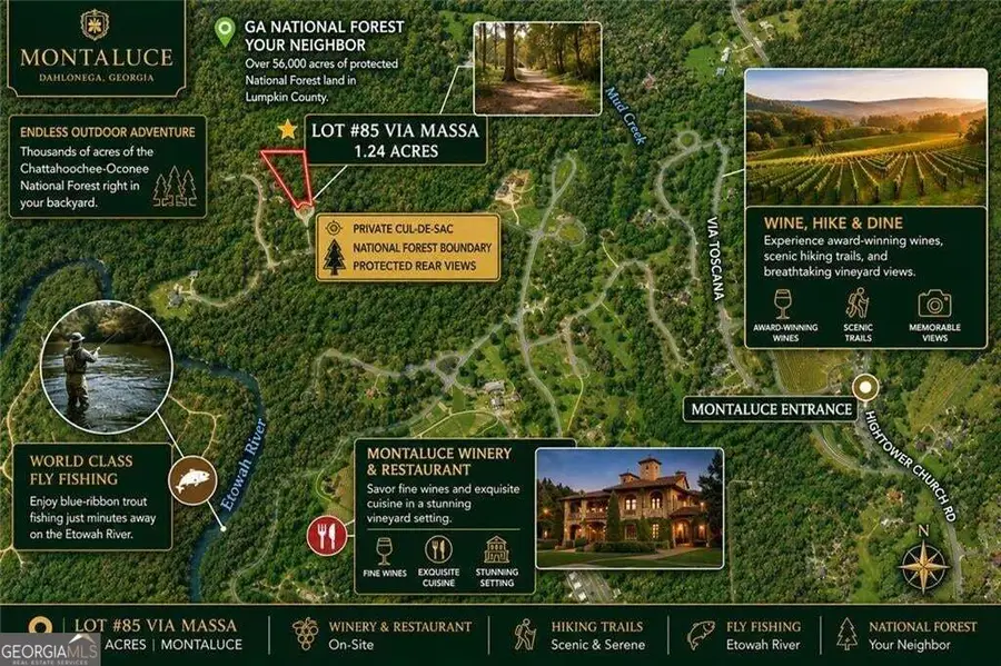 85 Via Massa, Dahlonega, GA 30533 - #3