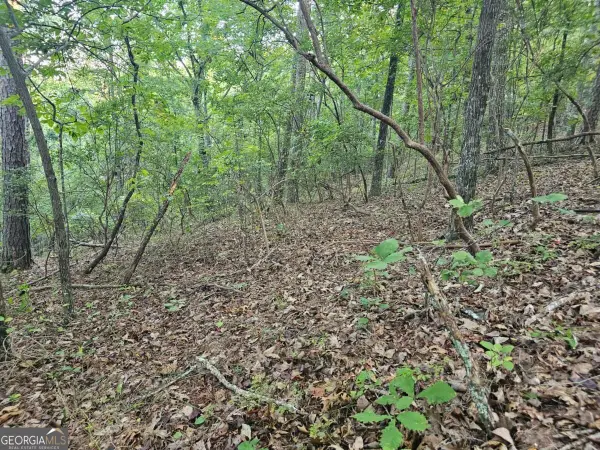 391 Meteor Court #391, Ranger, GA 30734