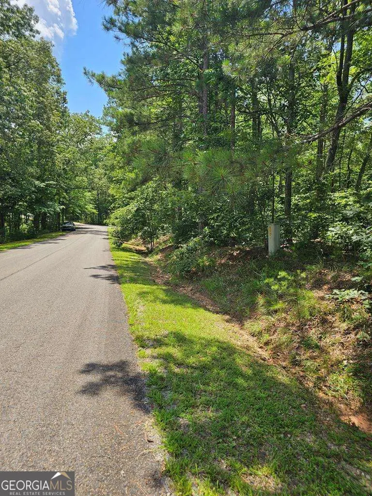 0 Harris Ridge Drive #183, Ellijay, GA 30540 - #1