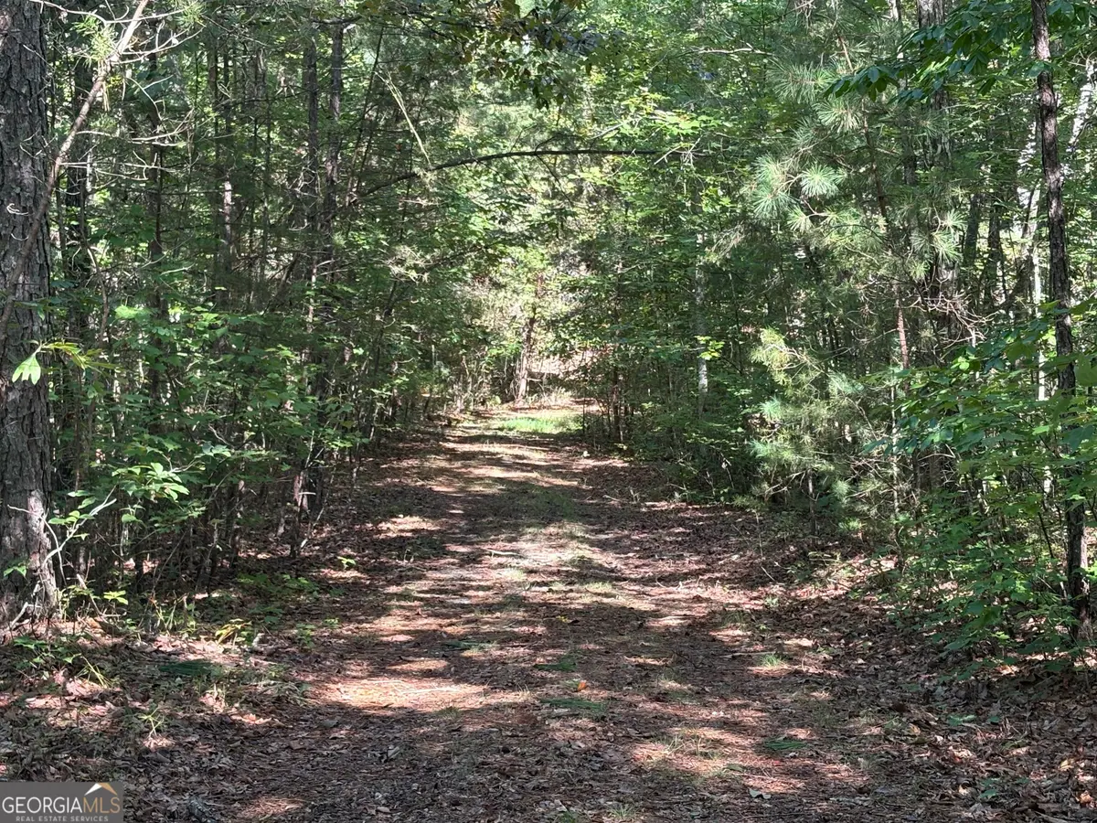 29A Hillstead Trace, Ellijay, GA 30540 - #1