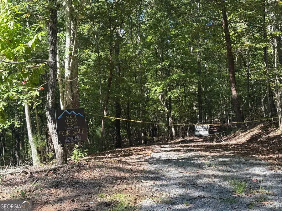 29A Hillstead Trace, Ellijay, GA 30540 - #2