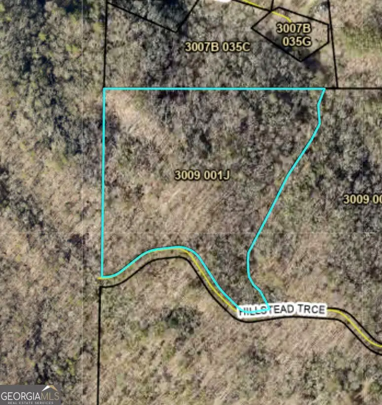 29A Hillstead Trace, Ellijay, GA 30540 - #3