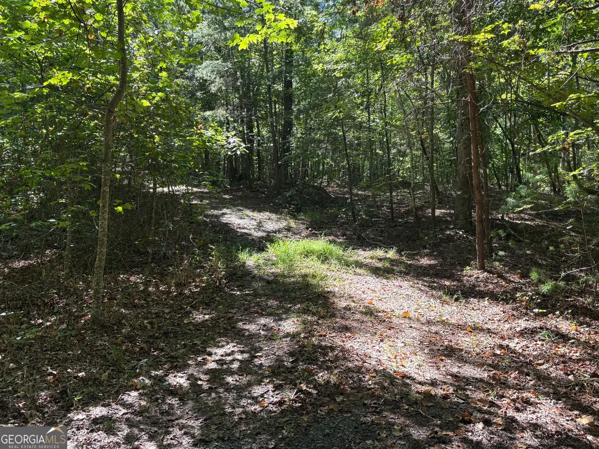 29B Hillstead Trace, Ellijay, GA 30540 - #1