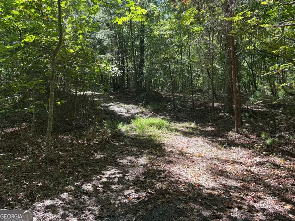29B Hillstead Trace, Ellijay, GA 30540