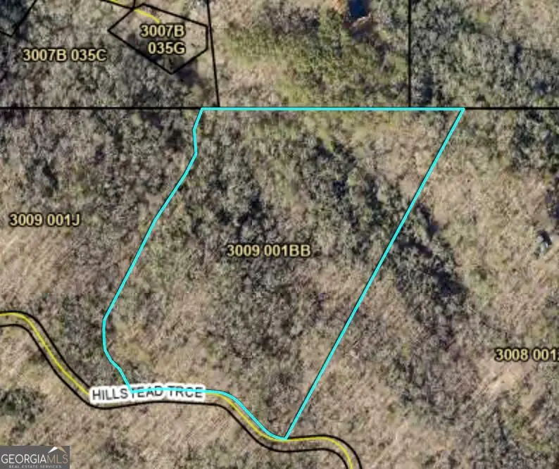 29B Hillstead Trace, Ellijay, GA 30540 - #3