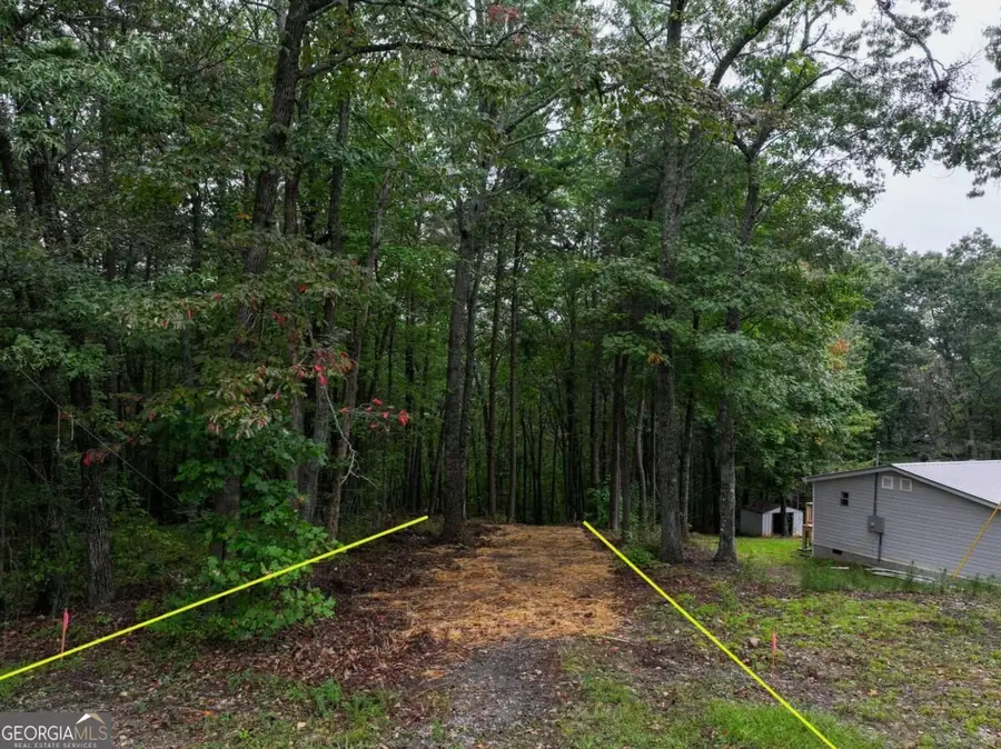 0 Adrianne Lane, Dawsonville, GA 30534 - #3