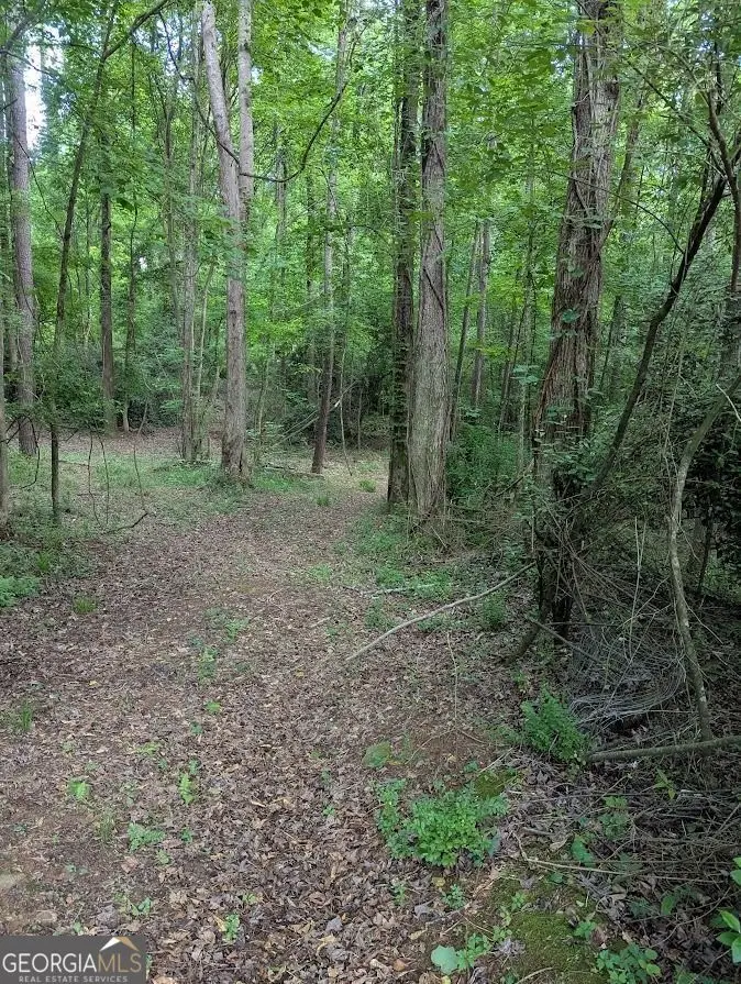 2773 River Road, Ellenwood, GA 30294 - #1