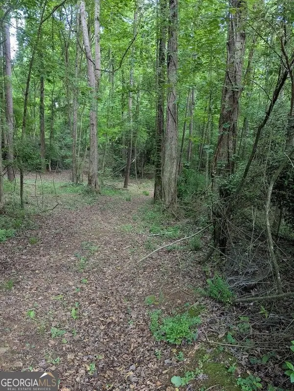 2773 River Road, Ellenwood, GA 30294