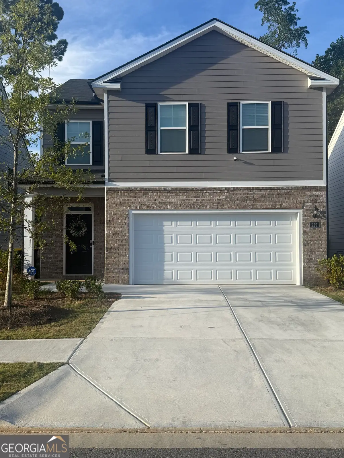 229 Lauritsen Way, Newnan, GA 30265 - #1