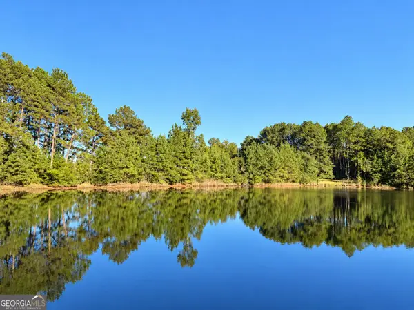 0 Martin Road, Kite, GA 31049