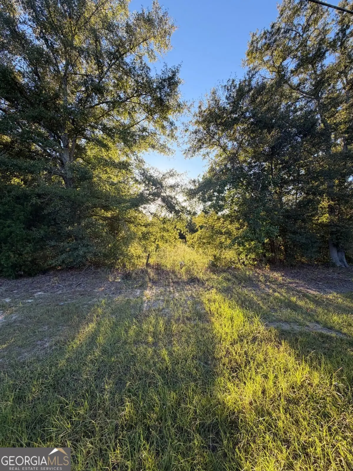 0 Hwy 1 N, Swainsboro, GA 30401 - #1