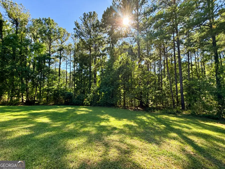 1050 Salem Church Way, Greensboro, GA 30642 - #2