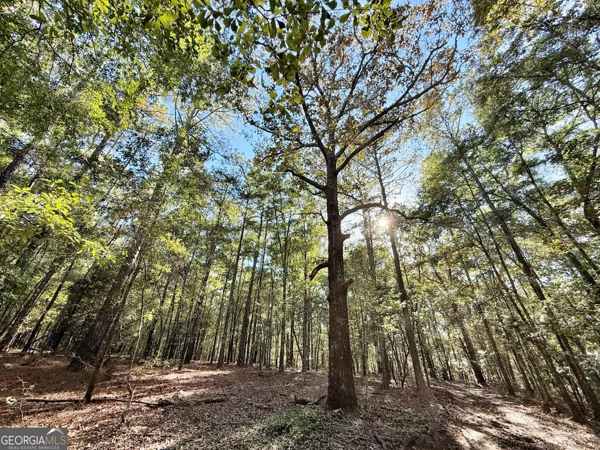 1 Kitchens Road, Macon, GA 31217 - #1