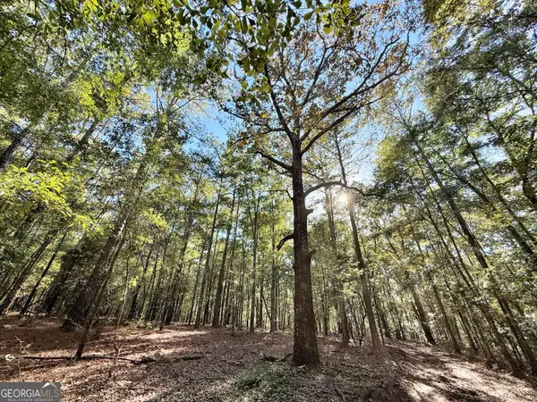 1 Kitchens Road, Macon, GA 31217