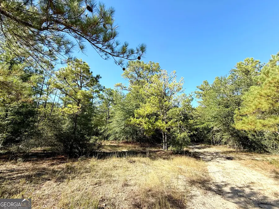 1 Kitchens Road, Macon, GA 31217 - #3
