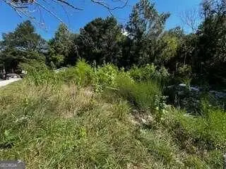 169 Margaret Street, Fairburn, GA 30213 - #2
