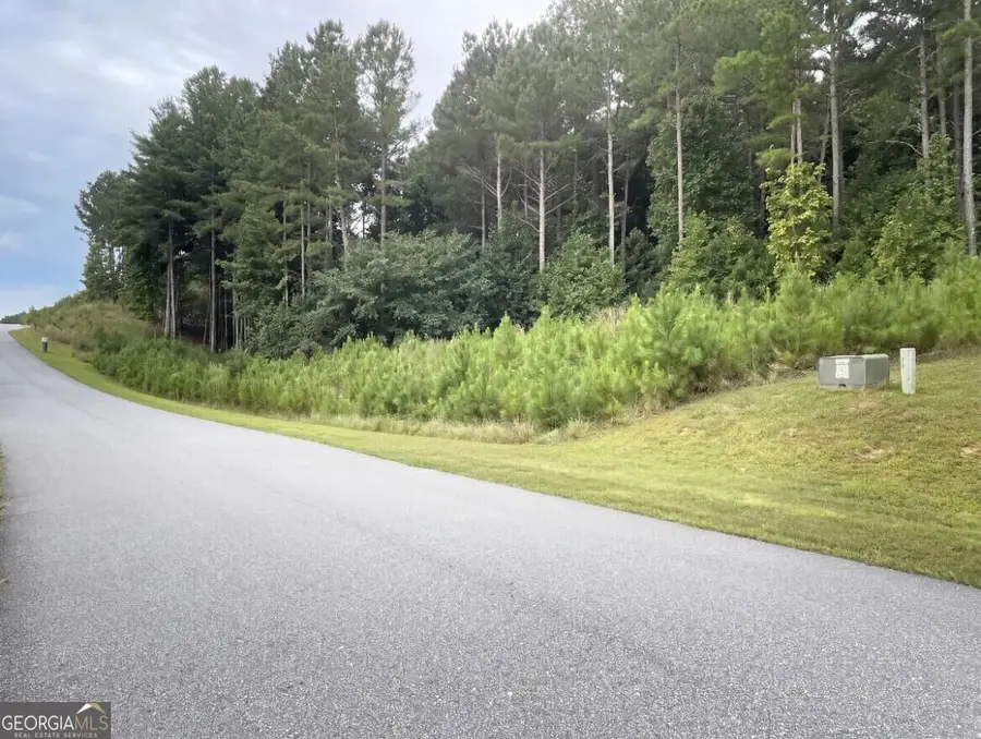 LOT 157 The Stables At Thirteen Hundred No Street Suffix, Blairsville, GA 30512 - #2