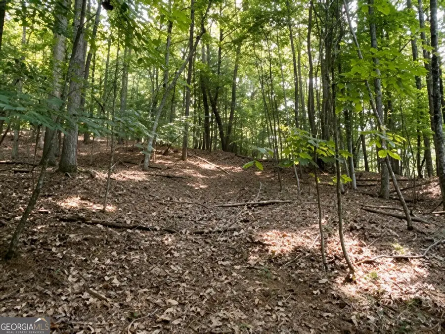 LOT 157 The Stables At Thirteen Hundred No Street Suffix, Blairsville, GA 30512 - #3