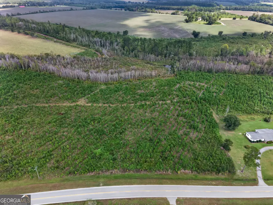 TRACT 2 Highway 203, Blackshear, GA 31516 - #3