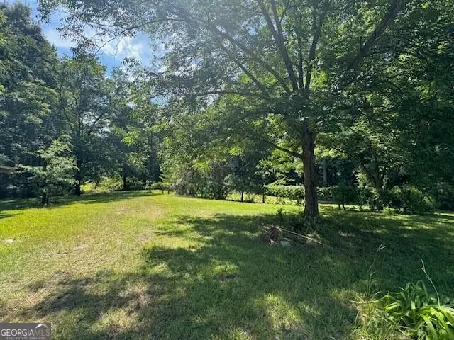904 Eastside School Road, Senoia, GA 30276 - #3