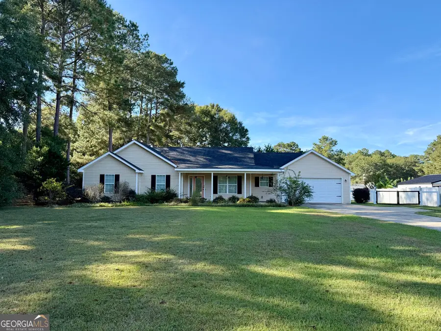 461 Columbus Highway, Hawkinsville, GA 31036 - #3