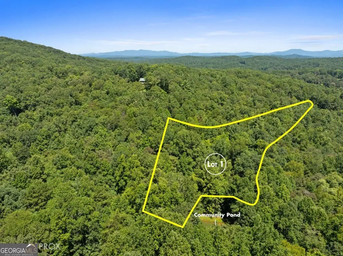 LOT 1 Natures Way #1, Blue Ridge, GA 30513 - #1