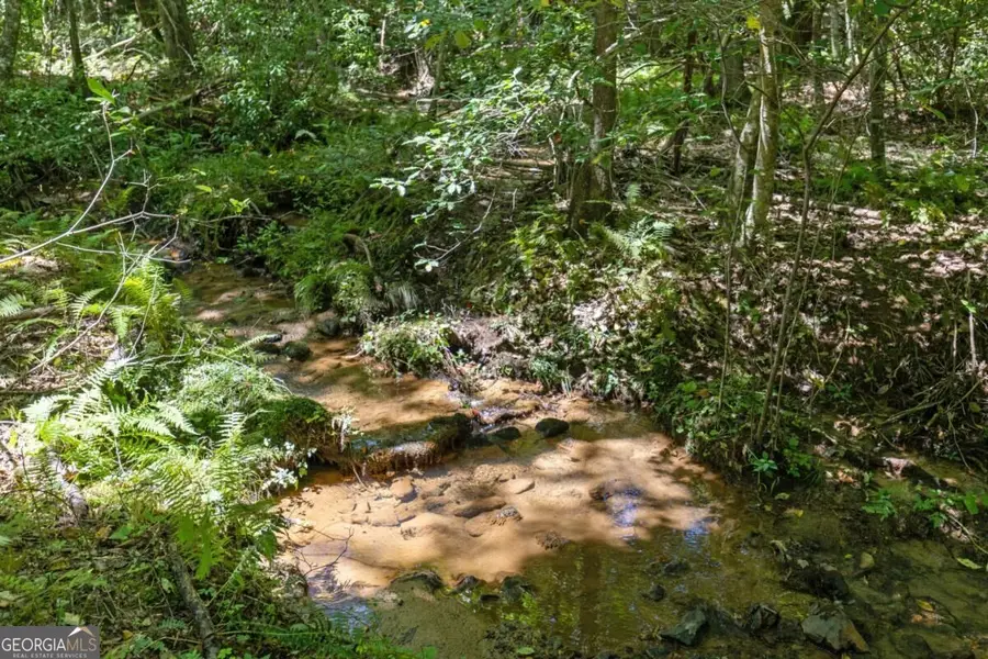 LOT 1 Natures Way #1, Blue Ridge, GA 30513 - #2