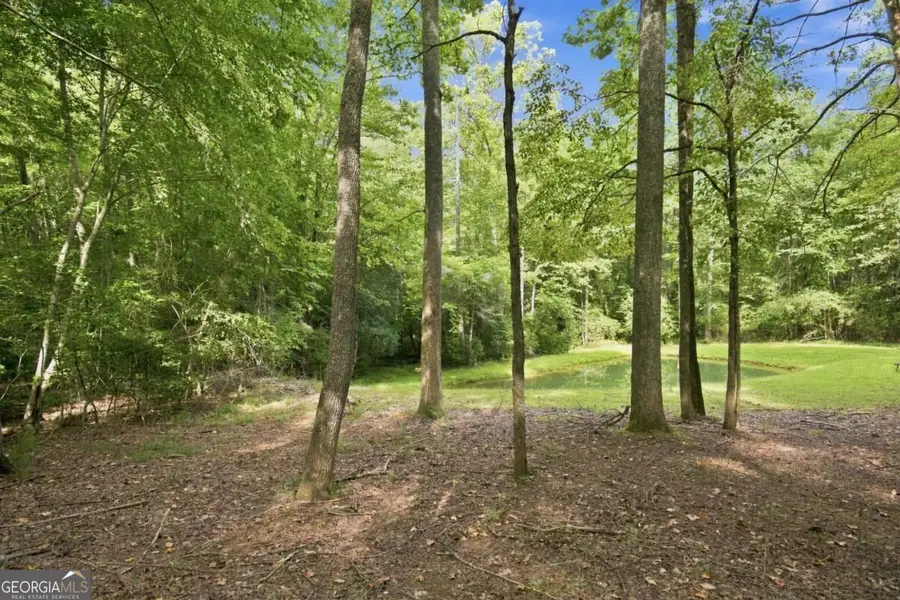 LOT 1 Natures Way #1, Blue Ridge, GA 30513 - #3