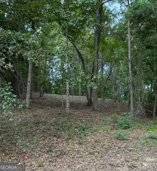 126 Big Cotton Trail, McDonough, GA 30252 - #3