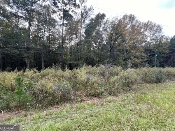 0 Owens Drive, Conyers, GA 30094