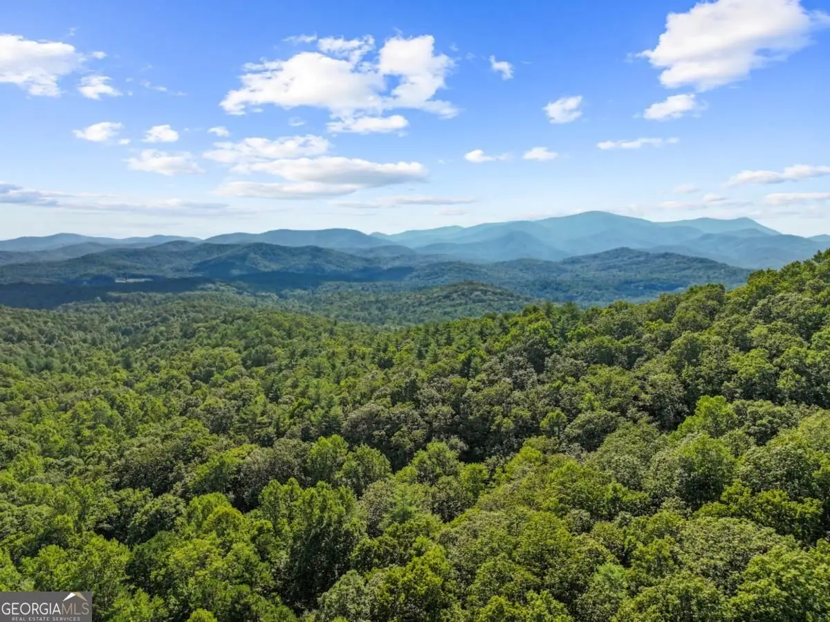 5.5 ACRE Forest Service Rd 35, Blue Ridge, GA 30513 - #1