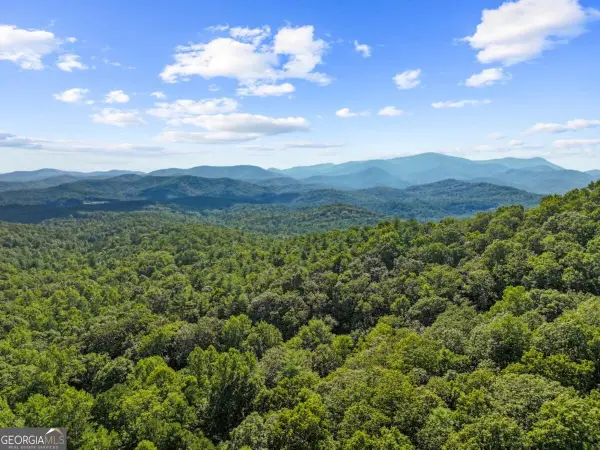 5.5 ACRE Forest Service Rd 35, Blue Ridge, GA 30513