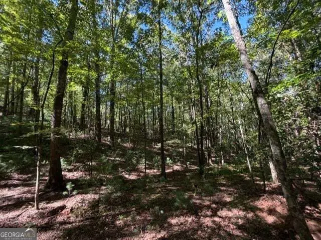 305 Seneca Drive, Ellijay, GA 30540 - #2