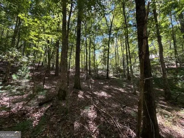 305 Seneca Drive, Ellijay, GA 30540 - #3