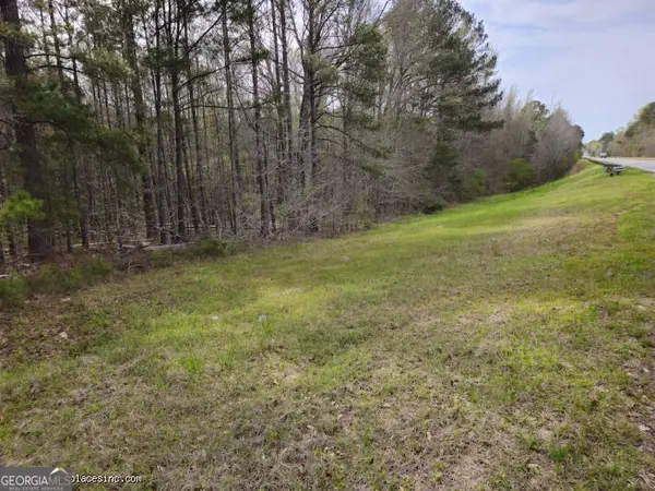0 TRACT 2 Us Highway 341 N, Musella, GA 31066