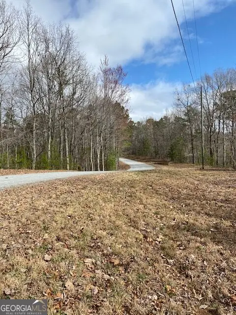 LT 54 Honeysuckle Way, Ellijay, GA 30540 - #1