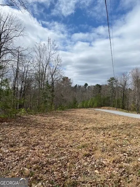 LT 54 Honeysuckle Way, Ellijay, GA 30540 - #2