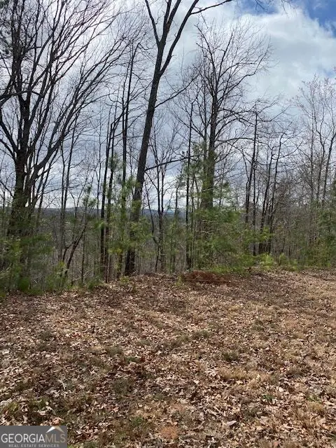 LT 54 Honeysuckle Way, Ellijay, GA 30540 - #3