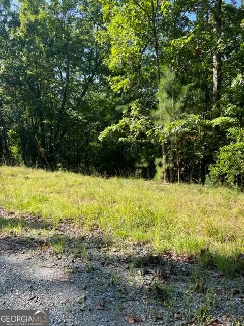 LT 57 Honeysuckle Way, Ellijay, GA 30540 - #1