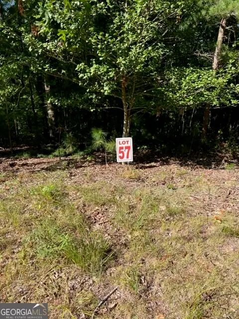 LT 57 Honeysuckle Way, Ellijay, GA 30540 - #2