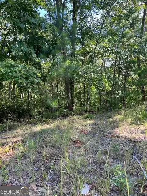LT 60 Honeysuckle Way, Ellijay, GA 30540 - #2