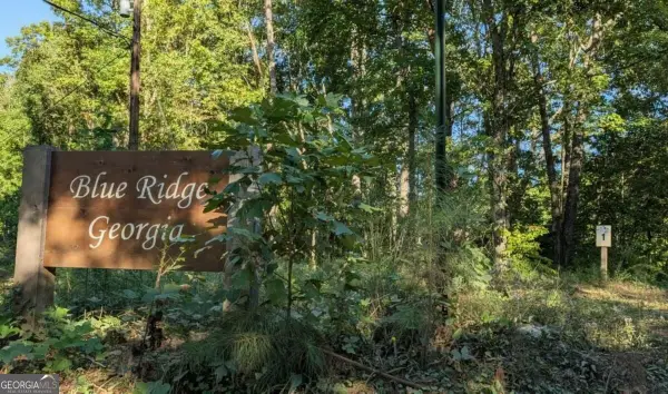 LOT 1 White Oak Circle, Blue Ridge, GA 30513